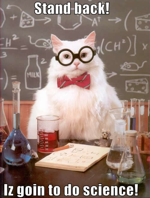 Cat Scientist